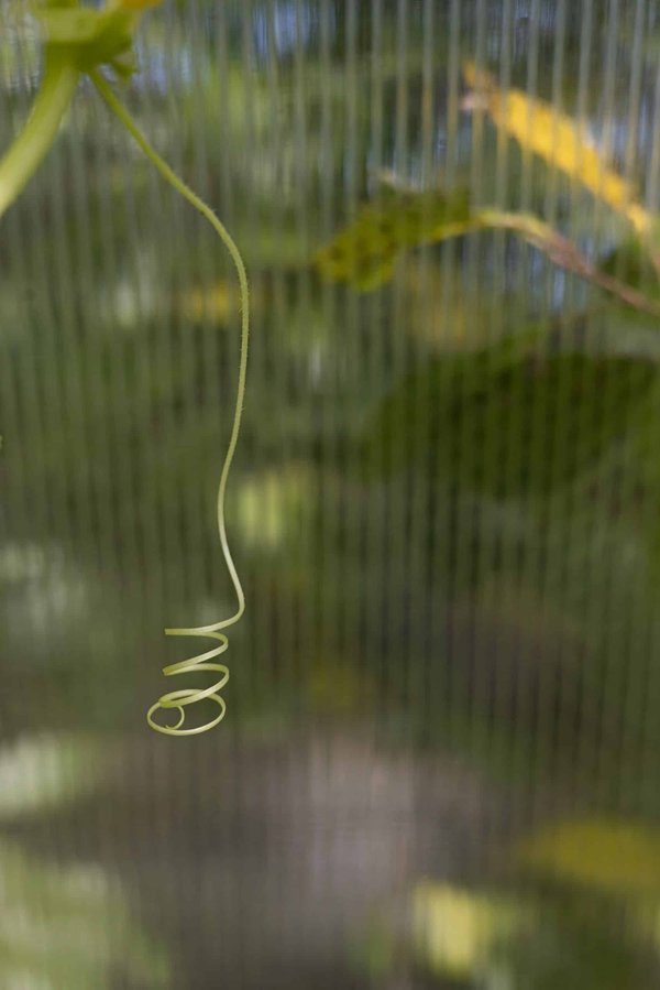 How to Modify Pilates Exercises for Individuals with Herniated Discs?