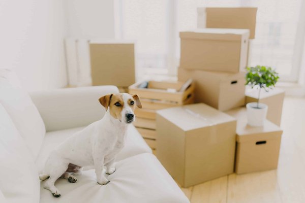 What's the Ideal Thread Count for Sheets That Balance Comfort and Durability?